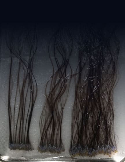 ����Ʈ ������